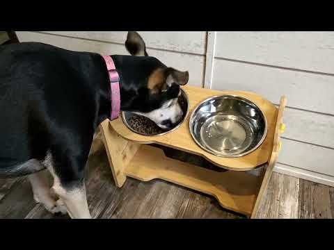ASEWOTOS Elevated Dog Bowls, Adjustable Raised Dog Feeding Station Review, Bowls are nice and large
