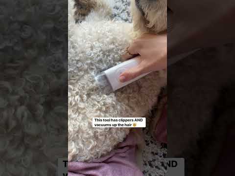 Easy DIY Dog Grooming With This Amazon Hack | Grooming Vacuum